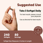 Micro Ingredients Dandelion Root Extract (Taraxacum officinale) 1,000mg Per Serving, 240 Softgels | 3-in-1 Herbal Blend with Turmeric & Ginger Extract | Made with Milk Thistle Oil | Non-GMO