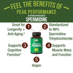 Spermidine Supplement Standardized to 99% Spermidine Trihydrochloride