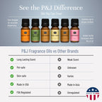 P&J Trading Fragrance Oil Winter Set | Cinnamon, Gingerbread, Sugar Cookies, Harvest Spice, Peppermint, and Christmas Wreath Candle Scents for Candle Making, Freshie Scents, Soap Making Supplies