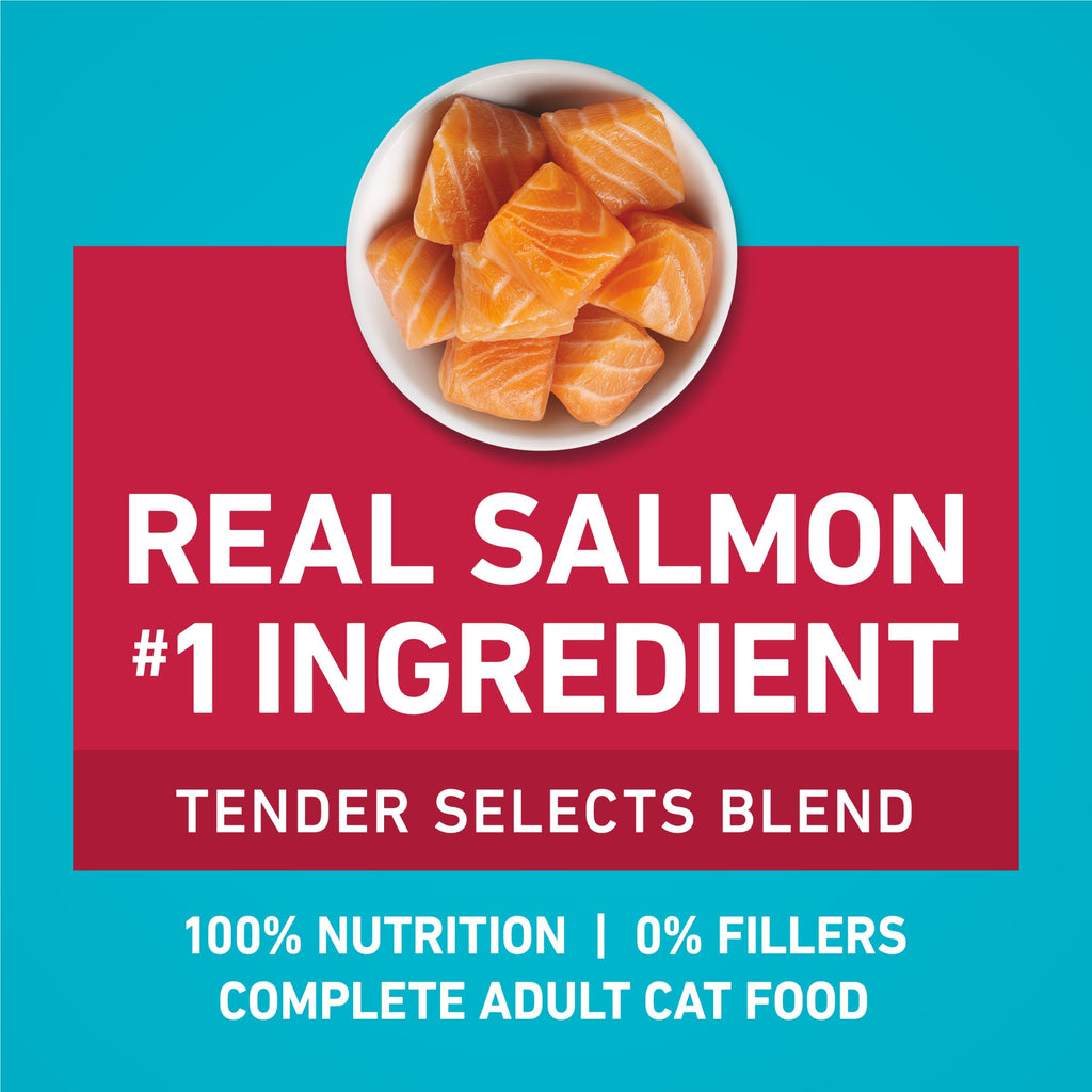 Purina ONE Tender Selects Dry Cat Food, Salmon, 7 lb Bag