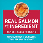 Purina ONE Tender Selects Dry Cat Food, Salmon, 7 lb Bag