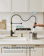 FORIOUS Kitchen Faucet with Pull Down Sprayer, Stainless Steel Commercial Single Handle Classic Spring Pull Out Sink Faucet for Pot Filler, Farmhouse Camper Bar Laundry Room, Black Gold