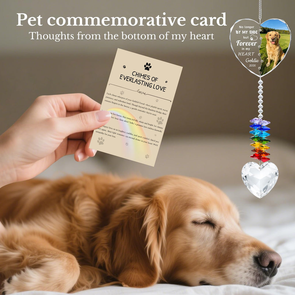 Personalized Pet Memorial Suncatcher - Dog Memorial Gifts for Loss of Dog