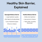 LANEIGE Water Bank Blue Hyaluronic Intensive Moisturizer Refill: Hydrating Face Cream for Very Dry Skin with Squalane & Peptide for Skin Barrier Support, Dermatologist-Tested