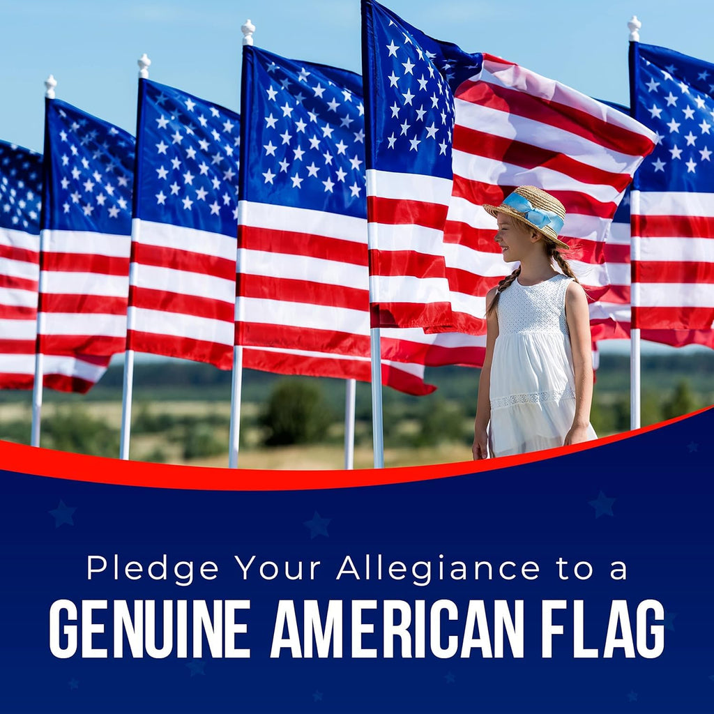 American Flag Made in USA | American Flags for Outside 3X5 | Premium US Flag 3X5 Heavy Duty Outdoor with Embroidered Stars and Sewn Stripes.FMAA Certified