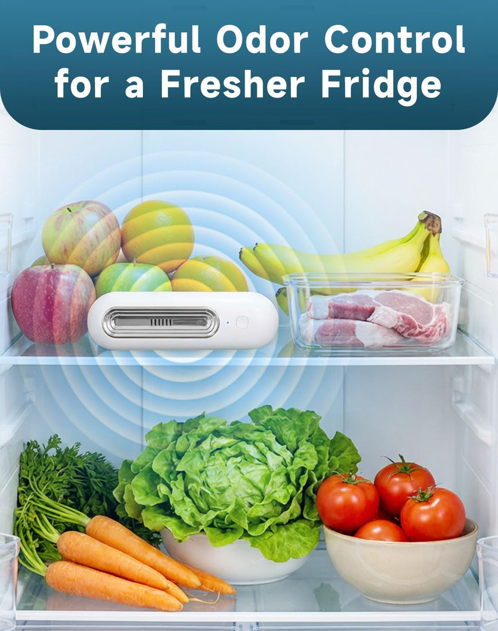 Ozoori Fridge Deodorizer Odor Eliminator – Extends Food Freshness (3)