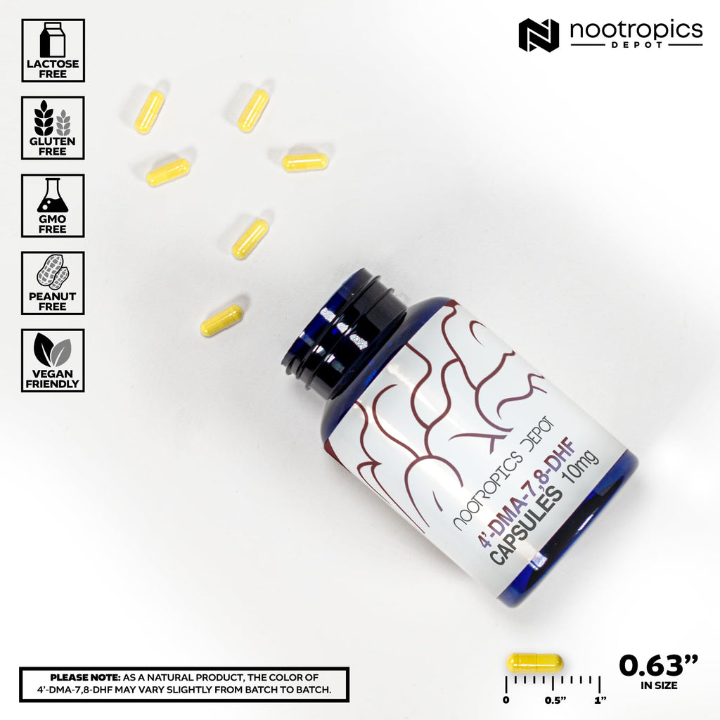 Nootropics Depot 4’-DMA-7,8-DHF Capsules | 10mg | 90 Count | 4'-DMA-7,8-Dihydroxyflavone