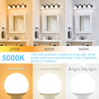 Dekang 8 Pack LED Globe Light Bulbs 5000K Daylight E26 Base 60W Equivalent
