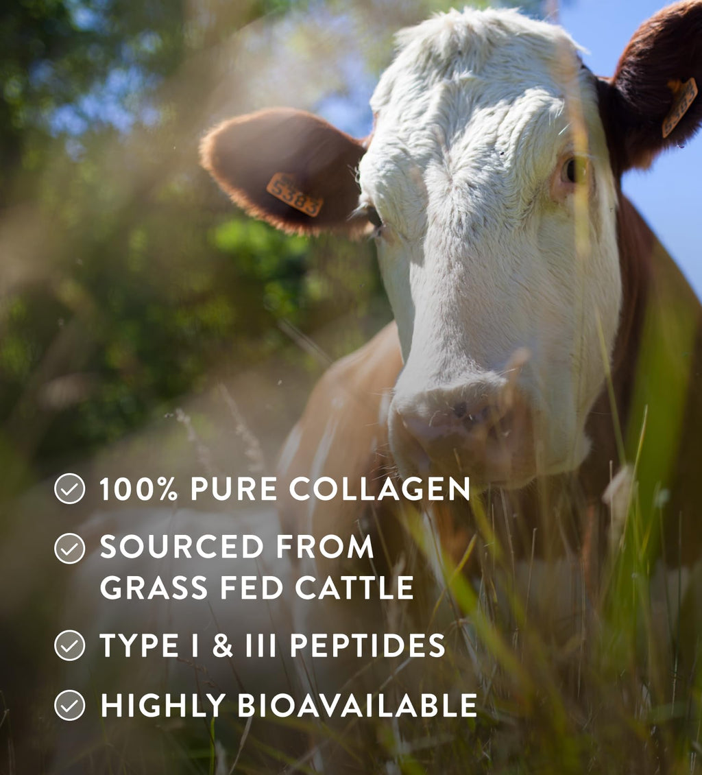 Hunter & Gather Grass Fed Bovine Collagen Powder 400g | 100% Unflavoured Hydrolysed Collagen Peptides | Hair, Skin, Nails & Gut Health | Type 1 & 3 Collagen I High Protein Supplements for Women & Men