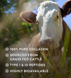 Hunter & Gather Grass Fed Bovine Collagen Powder 400g | 100% Unflavoured Hydrolysed Collagen Peptides | Hair, Skin, Nails & Gut Health | Type 1 & 3 Collagen I High Protein Supplements for Women & Men