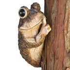 Bits and Pieces Keep Quiet Frog Tree Peeker - Adorable Tree Sculpture - Garden Decoration - Yard Art