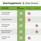 Moringa Capsules 240 Capsules – 4 Month Supply – Maximum Potency Pure Moringa Leaf Extract – Complete Green Superfood Supplement for Energy, Skin & Immune Health Support*