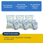 FROG @Ease Replacement SmartChlor Cartridge for use with Swim Spa FROG @Ease Floating System - Swim Spa Sanitizer System Supports Less Chlorine Use - 3 Pack