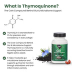 ThymoQuin Gut Health Supplements for Healthy Digestion & Gut Repair | Advanced Formula with Bioavailable Black Seed Oil with 3% Thymoquinone | Gut Health Supplements for Women & Men | 60 Softgel