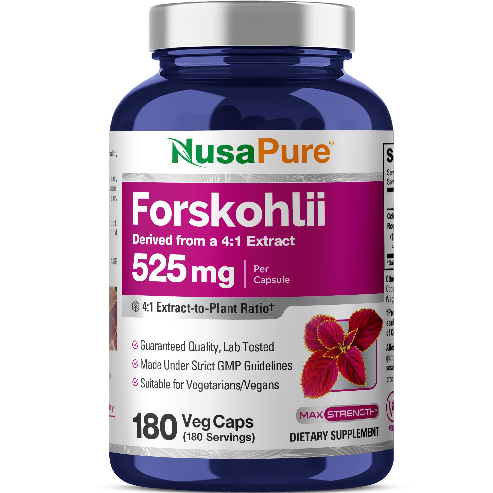 NusaPure Forskohlii Capsules, 525 mg, 180 Veg Capsules (Non-GMO, Vegan)