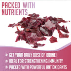 XPRS Nutra Dulse Powder (Palmaria Palmata) - Canadian Wildcrafted Nova Scotia Dulse Powder for Thyroid and Bones - Vegan Friendly Atlantic Duls (16 Ounce)