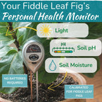 Fiddle Leaf Fig Health Meter, 3-in-1 Soil Moisture, Light & pH Testing Tool