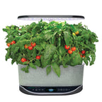 AeroGarden Salsa Garden Seed Pod Kit, 9-Pod
