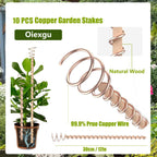 12" Electroculture Plant Stakes,10 Pack Copper Garden Stakes, Long Electroculture Copper Coil Antennas for Growing Vegetable Garden Plants Support High-Yield, Eco-Friendly