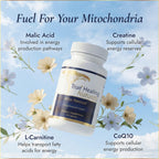 True Healing Naturals - Mito Rescue, Mitochondrial Support Supplements, 60 Vegetarian Capsules