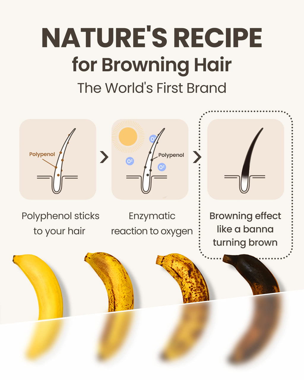 MODA Pro-Change Black Shampoo | Korean Hair Darkening, Volumizing & Anti-Hair Fall Shampoo | Paraben & Sulfate Free, Natural Formula for Thicker, Fuller Hair (10.5 oz)