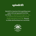 Spindrift Fuji Apple Can 12 Ounce (Pack of 24)
