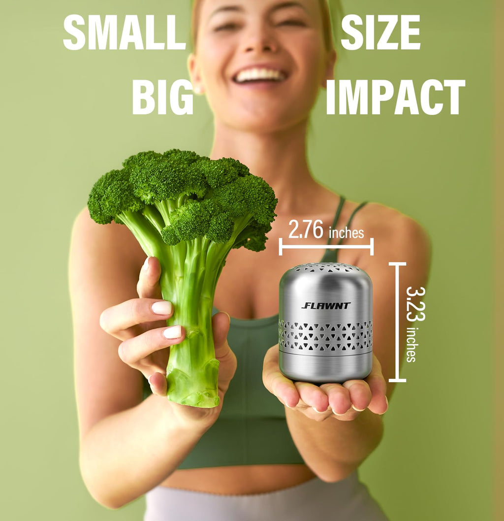 FLAWNT Fridge Deodorizer, 10-Year Odor Eliminator for Refrigerator, No Refills or Fragrance, More Effective Than Charcoal Air Purifiers-Space Grey