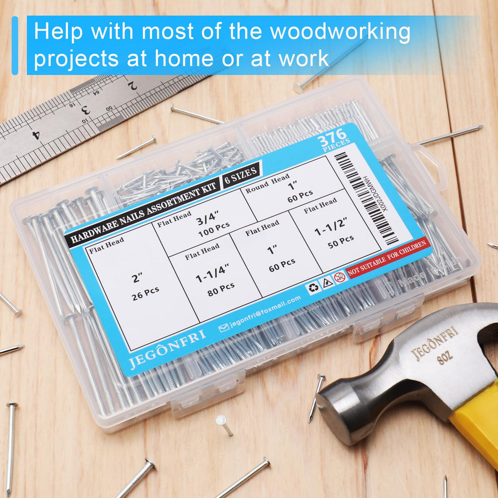 376PCS Galvanized Nails Kit with Storage Box, 6 Sizes for Hanging Pictures