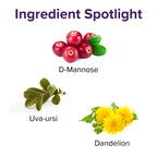Vibrant Health, U.T. Vibrance Powder, Crisis Intervention for Urinary Tract Health, 10 Servings