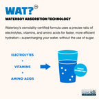 WaterBoy - Daily Hydration, Strawberry Lemonade, Sugar Free Electrolytes Powder Drink Mix - 15ct Hydration Packets