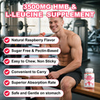 GlaGmrry 2 Pack HMB and Leucine Gummies, HMB & Leucine Amino Acid for Muscle Growth, Muscle Relief, HMB Supplements for Men & Women, Vegan, Non-GMO, Raspberry Flavor, 120 Count