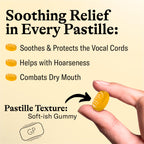 GRETHER'S Sugarfree Elderflower Pastilles – Premium Swiss Throat Lozenges for Dry Mouth & Throat Comfort – Intense Fruit Flavor – Gluten & Lactose Free – Gift for Singers – 3.75 oz, 3 Pack