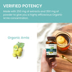 Himalaya Organic Amla - Herbal Immune Support Supplement with Adaptogen and Antioxidant - USDA Organic, Vegan, Non-GMO, Gluten Free, 600 mg, 60 Caplets