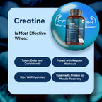 WeightWorld Micronized Creatine Monohydrate 3000mg Vegan Tablets | Muscle Strength & Recovery Booster | 3 Months Supply - 270 Tabs | Creatine for Women & Men | Non-GMO, Gluten-Free | 3 Tablets a Day