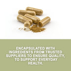 Evergreen Herbs Wereke Capsules - 90 Vegetable Capsules, 1350 mg Per Serving, Mexican Wereque Herb Supplement for, No Fillers, Binders, or Additives