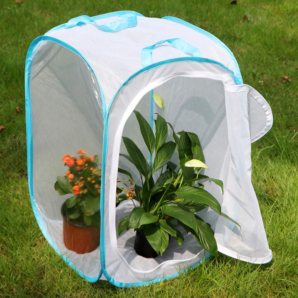 RESTCLOUD 36" Large Monarch Butterfly Habitat, Giant Collapsible Insect Mesh Cage Terrarium Pop-up 24 x 24 x 36 Inches