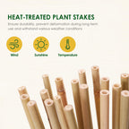 Cambaverd Bamboo Stakes 3ft, 50 Pack Garden Stakes, Bamboo Sticks for Plant