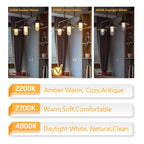 T10 Edison LED Tube Bulbs - Warm White, 2700K, Dimmable - Vintage Style, 4W Equivalent to 40W Incandescent, E26 Base, 3 Pack for Pendant Lights & Desk Lamps