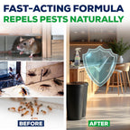 Peppermint Oil Spray for Insects, Pests, Rodents, Mice, Bugs, Spiders, Ants & Wasps - All Natural Pest Control Repellent for Home, Indoor, Outdoor, Garden, Maximum Strength, Ready-to-Use, 16 FL OZ