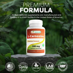 Best Naturals L-Carnosine 500 mg 100 Vcaps (100 Count (Pack of 2))