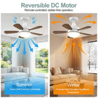 WZZIW 17.7" Socket Fan Light, E26/E27 Light Bulb Fan with Reversible Motor, 3000 Lumens Small Ceiling Fans with Lights and Remote, Dimmable 3000K-6500K for Bedroom Kitchen Living Room Garage