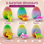 Dan&Darci Dinosaur Hatching Surprise Eggs for Kids - 6 Pack - Grows 600% - Dino Egg Toys for Boys & Girls Age 3-8 - Gift Ideas, Party Favors, Basket Stuffers - Gifts for Girls Ages 3 4 5 6 7 8