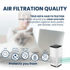 KIKI PURE A1 2021 Mini HEPA USB-C Powered Air Purifier. Ultra Portable (5.2in tall, 6.7 ounces), Ultra Quiet. for Travel, In-Car and Desktop (White)