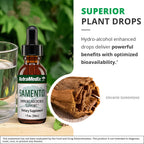 NutraMedix Samento Cat's Claw Tincture - Cat's Claw Tick Immune Support Supplement for Brain, Antioxidant, Cardiovascular & Microbial Support - Bioavailable Herbal Supplements from Nature (1oz / 30ml)