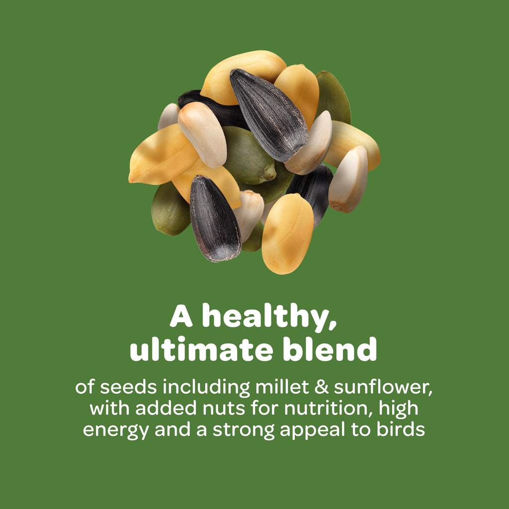 Kaytee Ultimate Birder's Blend Food, Wild Bird Seed, 10 Pounds