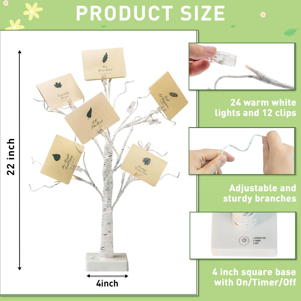 EAMBRITE Money Tree Gift Holder, Lighted Birch Tree 2FT 24LED, Battery/USB Powered Timer Light Up Display Twig Gift Card Tree with 12 Clear Clips and 6 Cards for Home Christmas Graduation Photo Memo