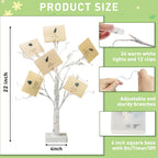 EAMBRITE Money Tree Gift Holder, Lighted Birch Tree 2FT 24LED, Battery/USB Powered Timer Light Up Display Twig Gift Card Tree with 12 Clear Clips and 6 Cards for Home Christmas Graduation Photo Memo