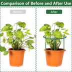 36Packs Plant Support Stake Half Round Plant Support for Indoor Plants, Stackable 3 Tier Garden Flower Support, Plant Rings for Tomato,Monstera, Peony, Hydrangea, Climbing Plants