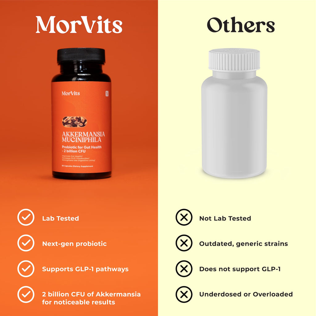 Morvits Akkermansia Probiotic for Cravings & Gut Health | GLP-1 Support Supplement with Akkermansia Muciniphila – 2 Billion CFU, Inulin Prebiotic Fiber – 60 Capsules, 1 Pack