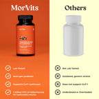 Morvits Akkermansia Probiotic for Cravings & Gut Health | GLP-1 Support Supplement with Akkermansia Muciniphila – 2 Billion CFU, Inulin Prebiotic Fiber – 60 Capsules, 1 Pack